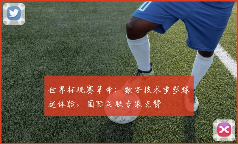 世界杯观赛革命：数字技术重塑球迷体验，国际足联专家点赞